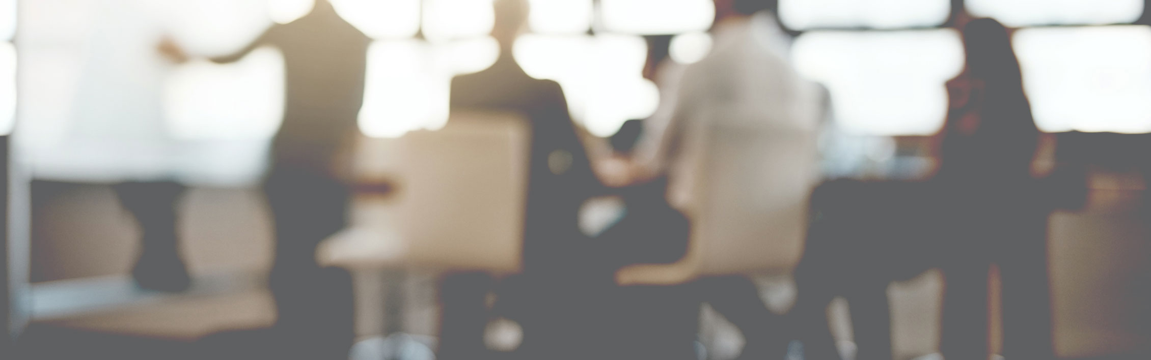 delivering professional training material Professionals in a room